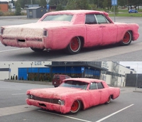 Voiture à poils roses