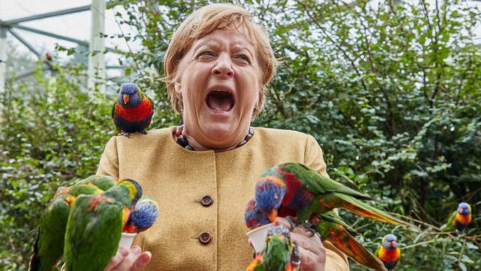 ...la voici dans le remake d'Hitchcock "Les OISEAUX".