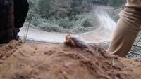 Un jour c’est moi qui prendrait le départ d’une grande course 