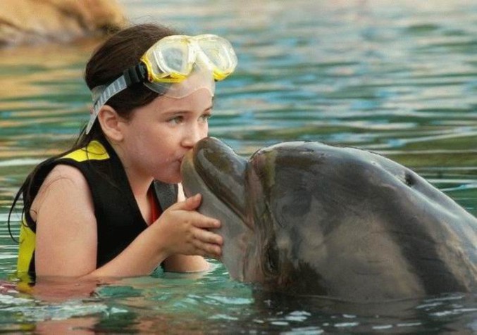 Une rencontre entre un dauphin et une petite fille.