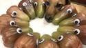 Un chien