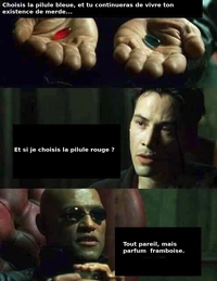 Pilule bleue ou pilule rouge ?