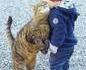 Attention ! Chat gentil !