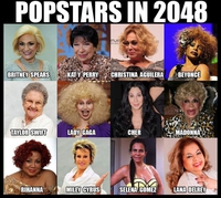 Les stars de la pop en 2048