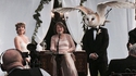 Le mariage de Mr Hibou