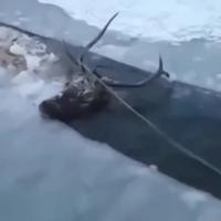 Élan de générosité 