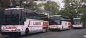 Les bus lamer