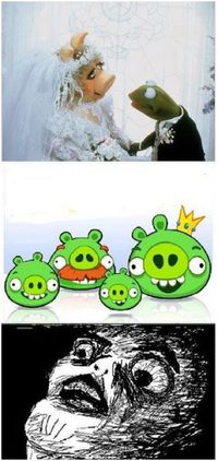 L'origine des cochons d'Angry Birds