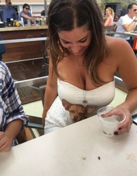 Encore un chien tout mignon 