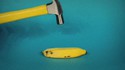 Comment se reproduisent les bananes