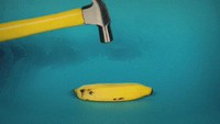 Comment se reproduisent les bananes