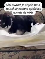 Comptes de Noël 