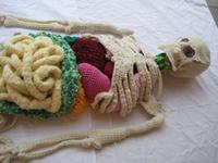 Ma remière passion : le tricot ...