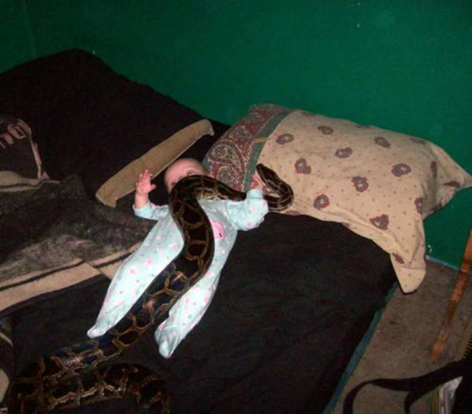 Un bébé joue avec un serpent