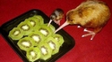 Cannibales