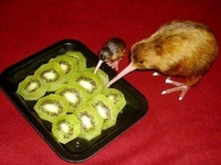 Cannibales