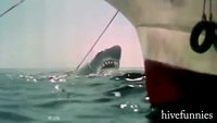 Attaque de requin sur un hélicoptère