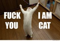 You're talking to me ?