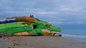 Un dragon en Normandie ?