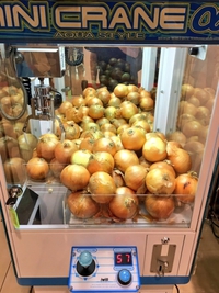 Qui veut gagner un oignon ? 
