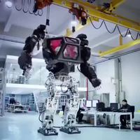 Exosquelette Alien IRL