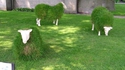 camouflage de retrait