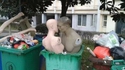 Le baiser
