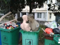 Le baiser
