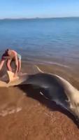 Pendant ce temps là sur la plage.