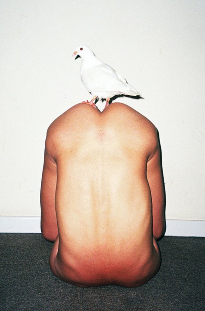 Un homme nu avec une colombe sur le cul.