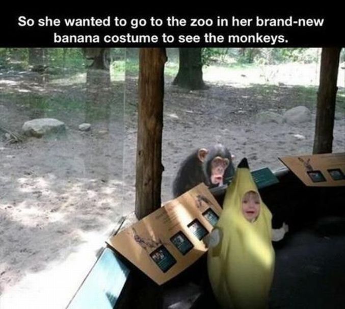 Elle voulait y aller avec son costume de banane voir les singes. Dans 20 ans on la reverra sur internet.