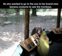 Une fillette au zoo