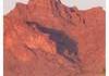 L'ombre du cougar en Arizona