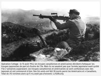 Oups la boulette ! Ils sont tellement contents d'être à la guerre qu'ils se tirent dessus !