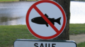 Poissons interdits