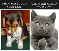 Kan tu grondes ton chien... ou ton chat