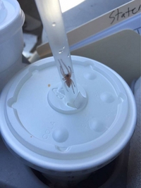 Boisson pleine de protéines 