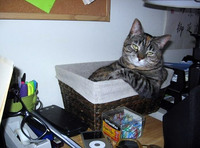 Chat cool 2