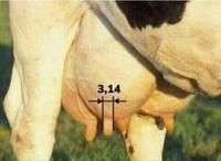 Les maths en image