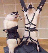 Chuck Testa a encore frappé