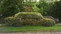 Plantation voiture