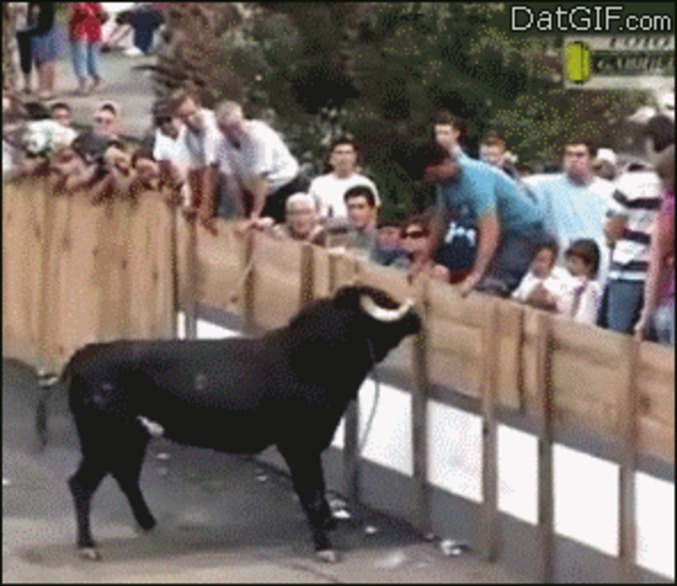 "C'est à moi qu'tu parles, là?!"