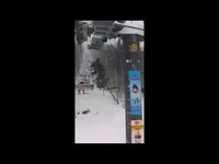 Huge spruce falls on the ski lift