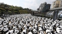 Trouvez le Panda