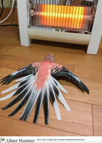 Profiter de la chaleur