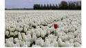 Be different and you'll always stand out
