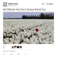 Be different and you'll always stand out
