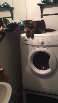 La chat machine