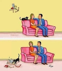 Adieu Cupidon
