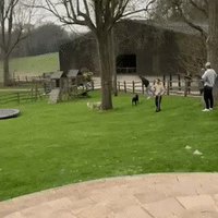 Trampolineeeeeee !